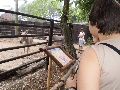 Wycieczka do zoo - 2/4